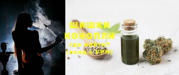 шишки Нея