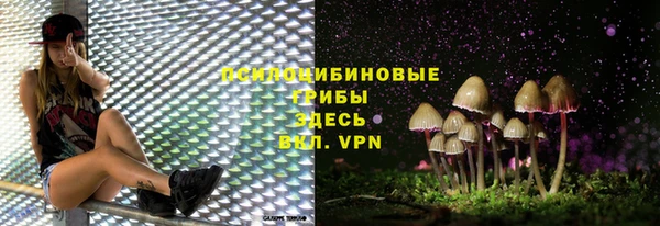 твердый Нефтегорск