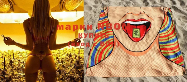 индика Вяземский