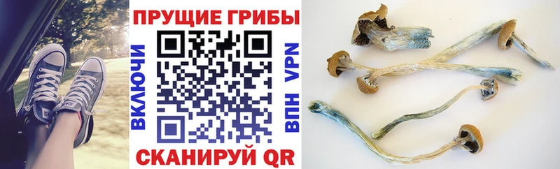 Галлюциногенные грибы мицелий  Скопин 