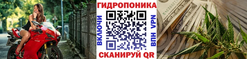 Бошки марихуана MAZAR  Скопин 